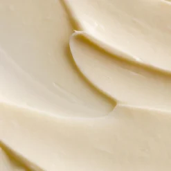 Acai All In One Moisturizer