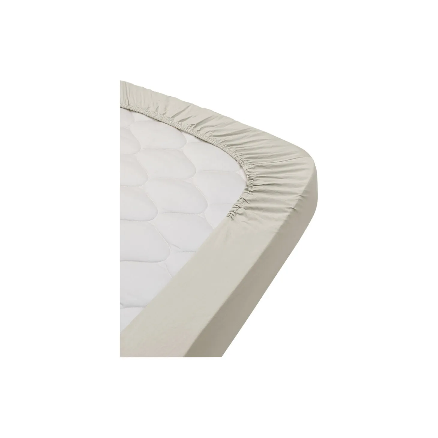 Ada faconsyet lagen, little mouse