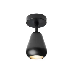 Anoli Spot Surface Ceiling-/Wall Lamp, black/black