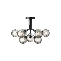 Apiales 9 Ceiling Lamp, satin black/optic smoked