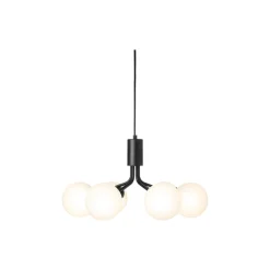 Apiales 6 Pendant, satin black/opal