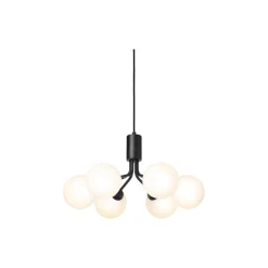 Apiales 6 Pendant, satin black/opal