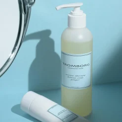 Aroma Therapy Deluxe Soap Ginger