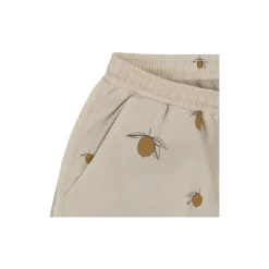 Asnou Swim Shorts, lemon