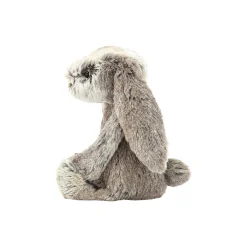 Bashful kanin, cottentail