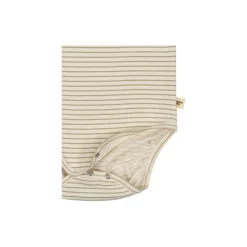 Basic LS Body, tea stripe