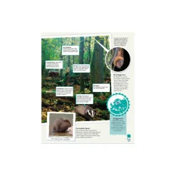 Børnenes illustrerede dyreatlas