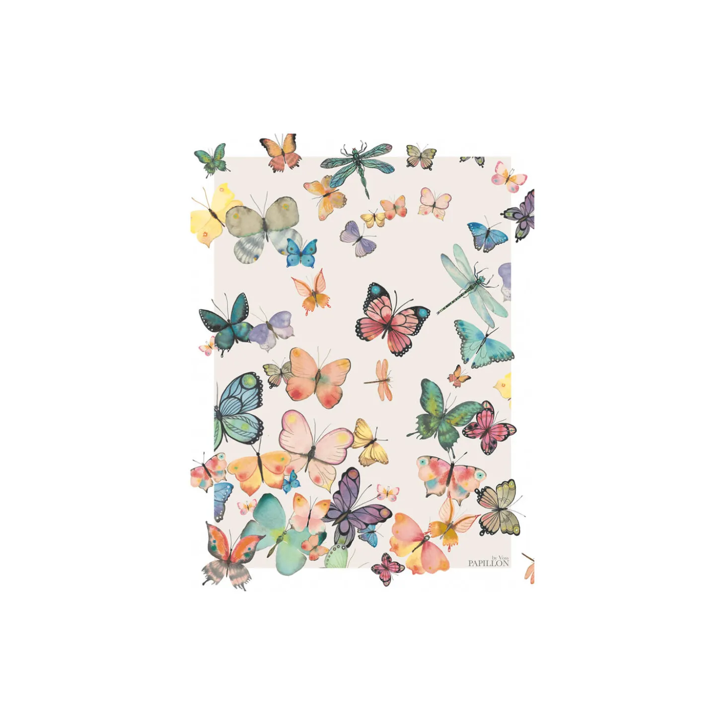 Butterfly plakat