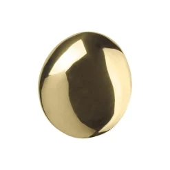 Chanterelle Hook, brass