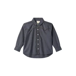 Checkered Cowboy Shirt, brown/blue check comb.