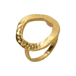 Circle of Life Ring