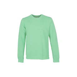 Classic Organic Crew, seafoam green