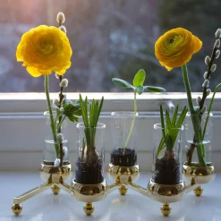 Constella Glass Inserts