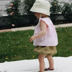 Daisy Top Baby, bubblegum