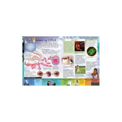 Det store børneleksikon