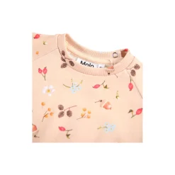 Disc sweater, foraging rose