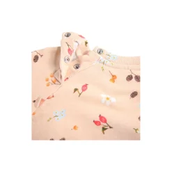 Disc sweater, foraging rose