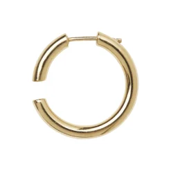 Disrupted Hoop, gold