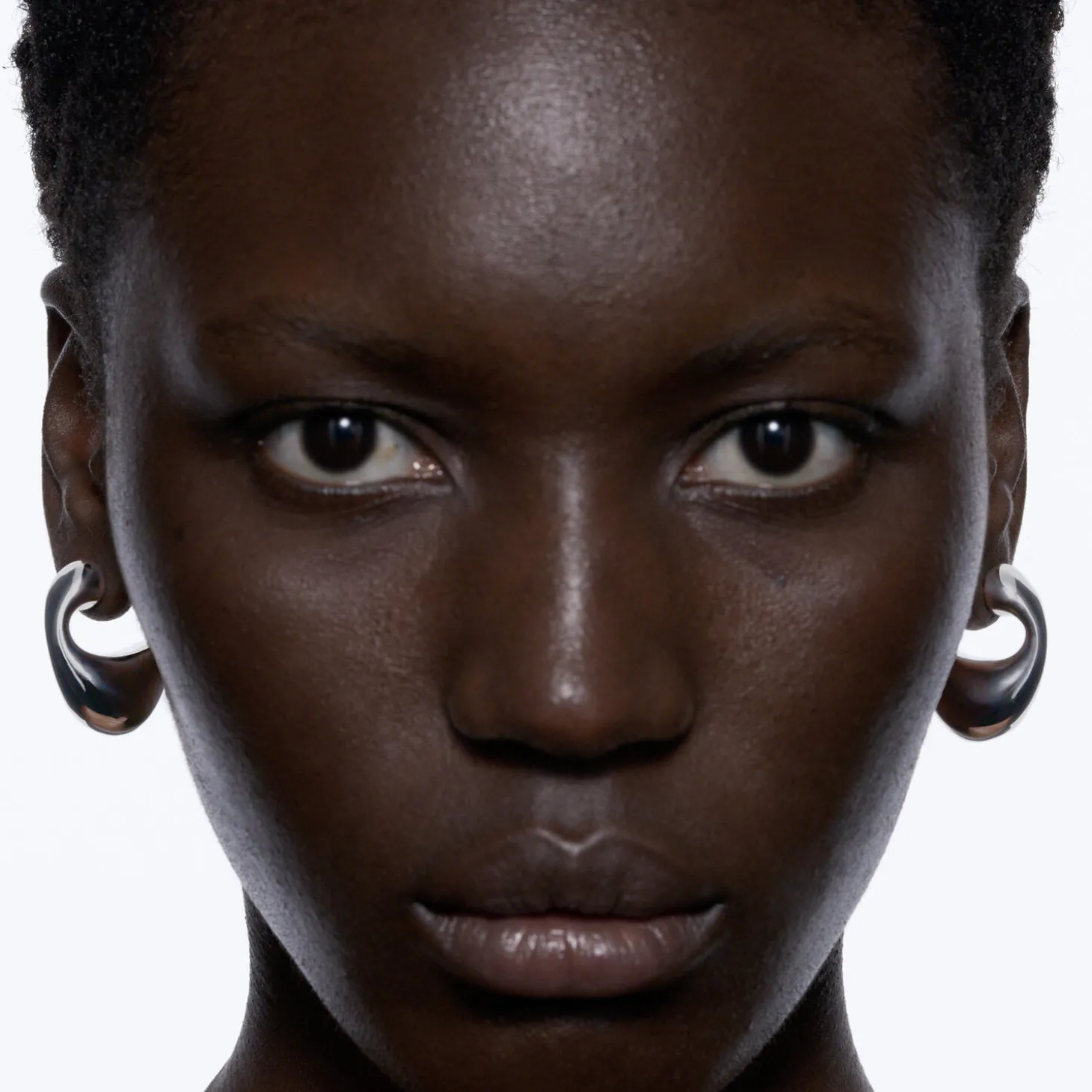 Dolphin Earring Large, silver