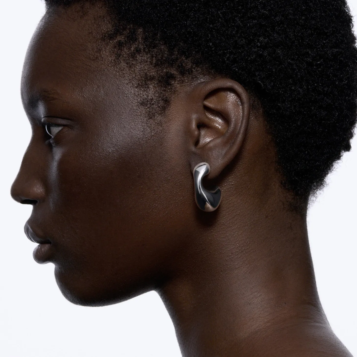 Dolphin Earring Large, silver