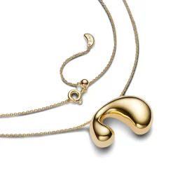 Dolphin Necklace, gold