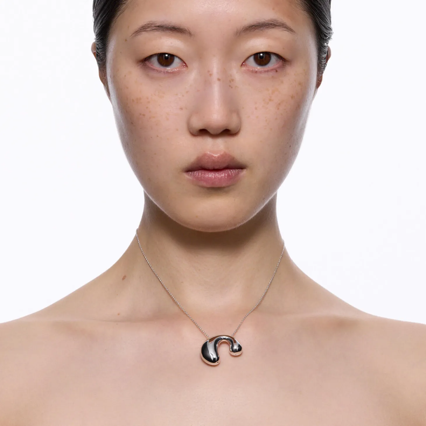 Dolphin Necklace, silver