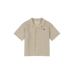 Elliot SS Shirt, tea stripe