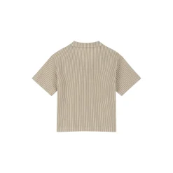 Elliot SS Shirt, tea stripe