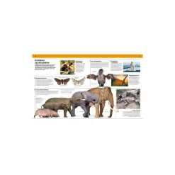 Familiens store bog om dyreriget