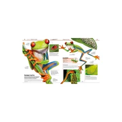 Familiens store bog om dyreriget