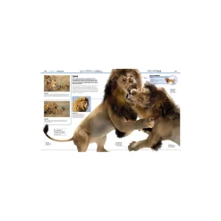 Familiens store bog om dyreriget