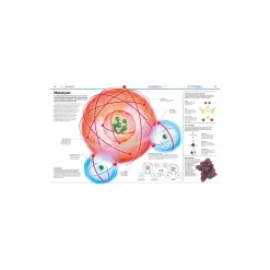 Familiens store bog om videnskab