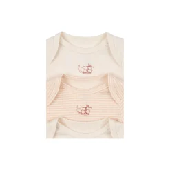 Fio Stripe 3-pack LS Body, blush mix