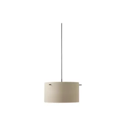 FM1954 Pendant, matt grey