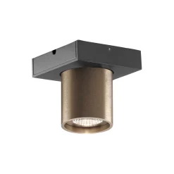 FOCUS 1 loftspot, rose gold