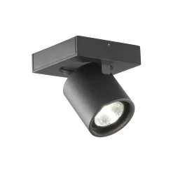 FOCUS 1 loftspot, sort