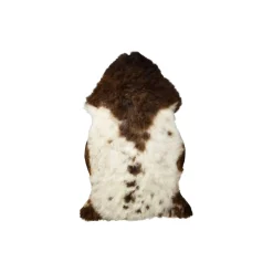 Himalaya lammeskind, dark spotted