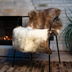 Himalaya lammeskind, dark spotted