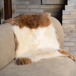 Himalaya lammeskind, light spotted