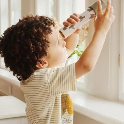 Kaleidoscope, crocodile