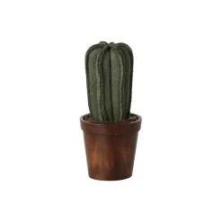 Krukke med kaktus