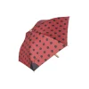 Lady Dot Umbrella, lady dot