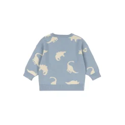 Lapis Knit Sweater, dino mist