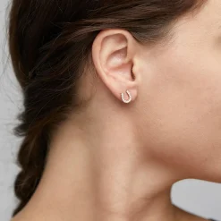 LEANNA Good Luck Crystal Øreringe, gold plated