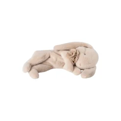 Lille sovende plyskanin, powder