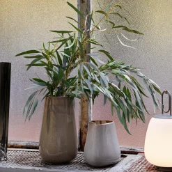 Lucca SC51 transportabel bordlampe, moss