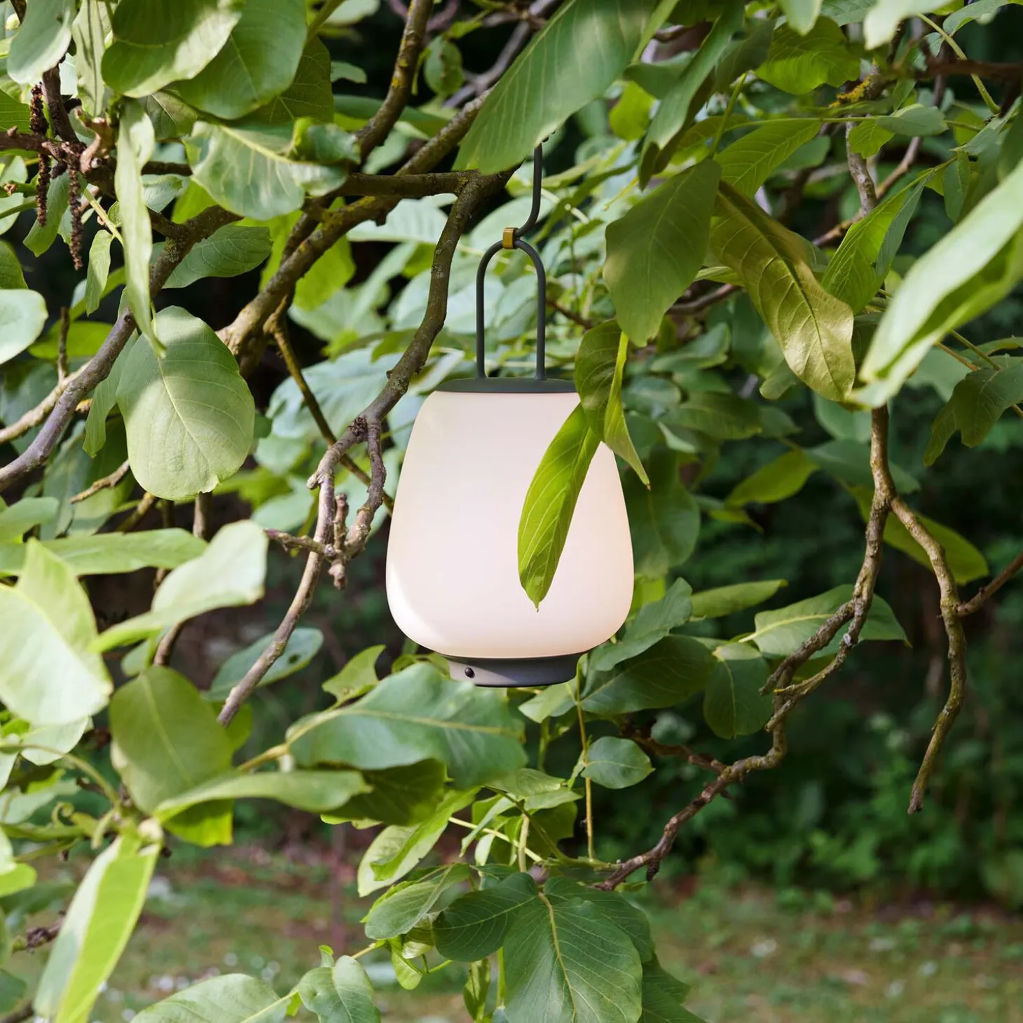 Lucca SC51 transportabel bordlampe, moss