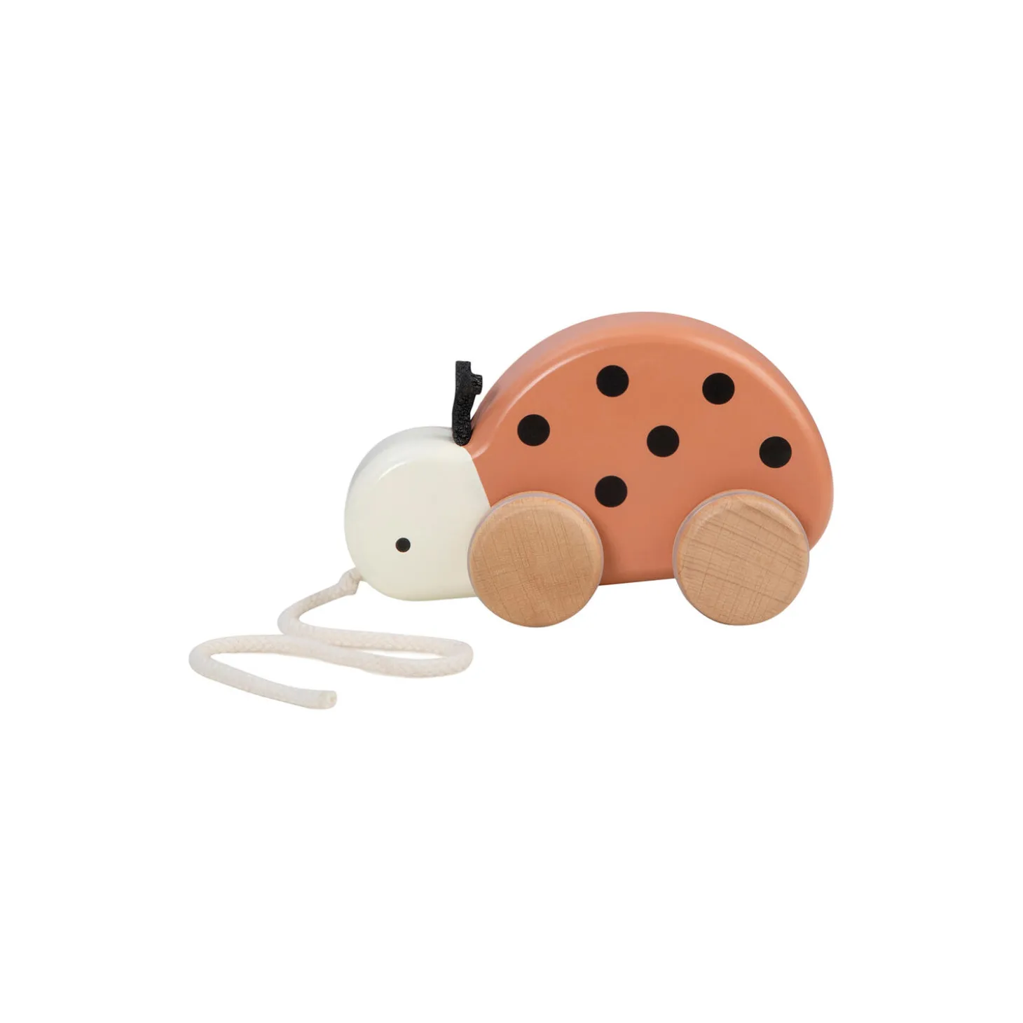 Mariehønen Luca trækdyr