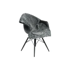 New zealandsk curly lammeskind, grafit