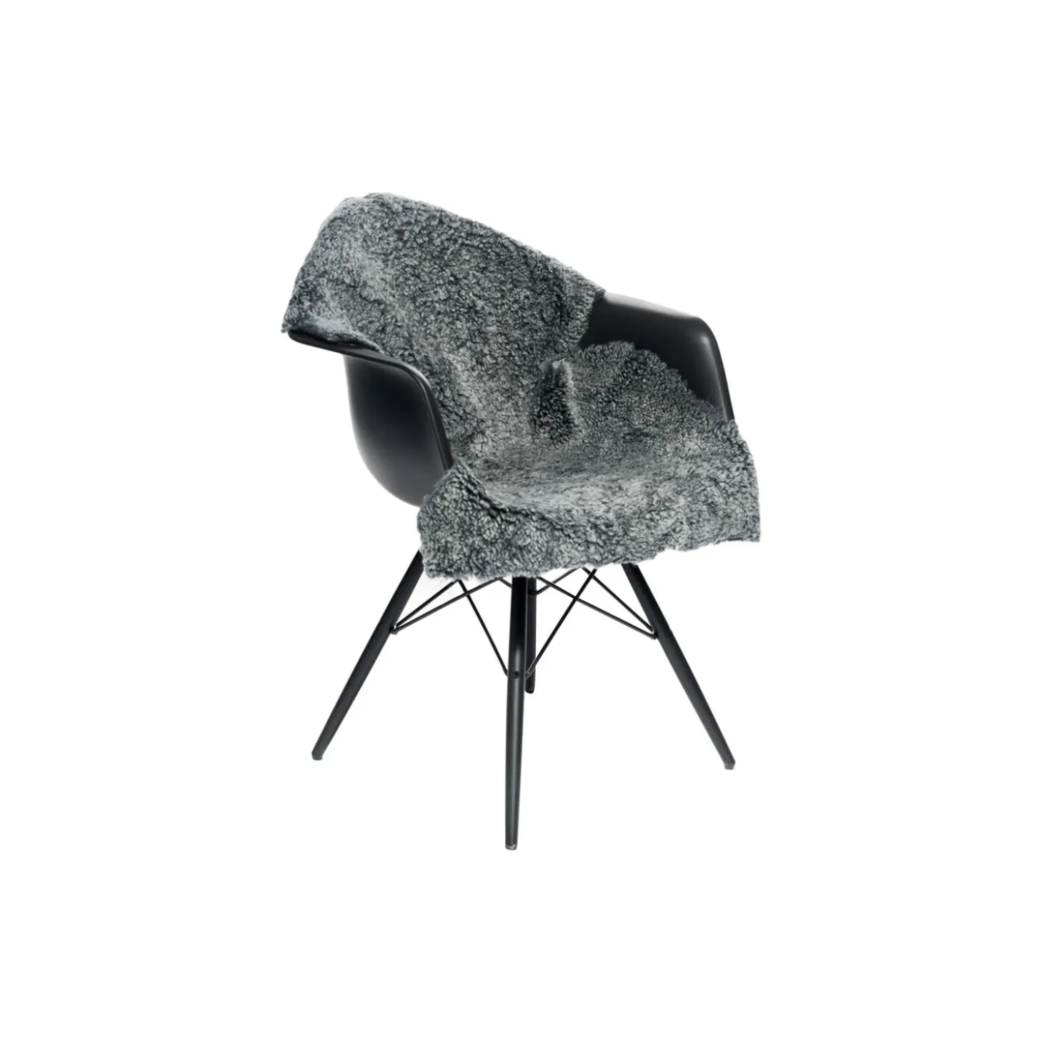 New zealandsk curly lammeskind, grafit